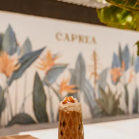 Hotel Caprea 3*